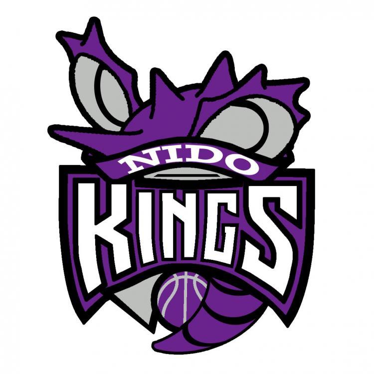 Sacramento Kings Pokemon logo iron on heat transfer